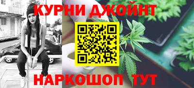 мдпв Новозыбков