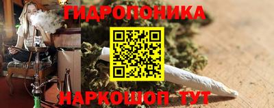 мдпв Новозыбков