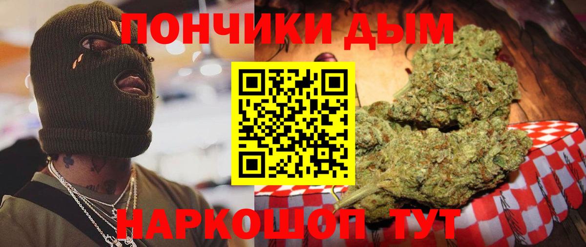 Конопля план Прохладный